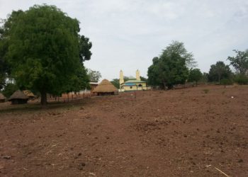 Labé : à Taran, l’absence prolongée à la mosquée désormais sanctionnée par un isolement social