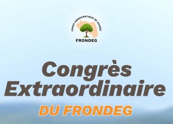 Congrès du FRONDEG : Abdoulaye Yero reconduit ou surprise à la tête du parti ?