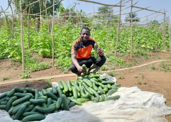 Réflexion citoyenne sur la nomination au ministère de l’Agriculture