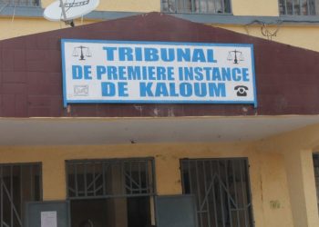 Affaire d’escroquerie dans la vente de noix de cajou : lourdes réquisitions et plaidoyers au procès de ce jour