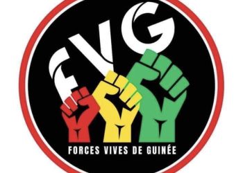 Guinée : les Forces Vives appellent au boycottes des élections et dénoncent une « confiscation du pouvoir »