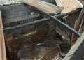 Nuit tragique à Gbessia-Cité de l’Air : quatre  membre d’une même famille réduits en cendres