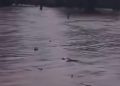 Fortes pluies à Conakry : un mort à Coyah, plusieurs blessés et d’importants dégâts matériels